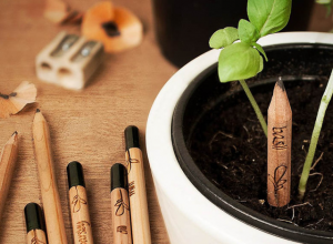 Crayons ISF